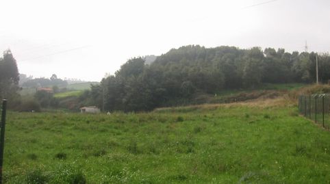 FINCA EDIFICABLE EN CAMPANAL PERLORA LLANA EN NUCLEO RURAL.