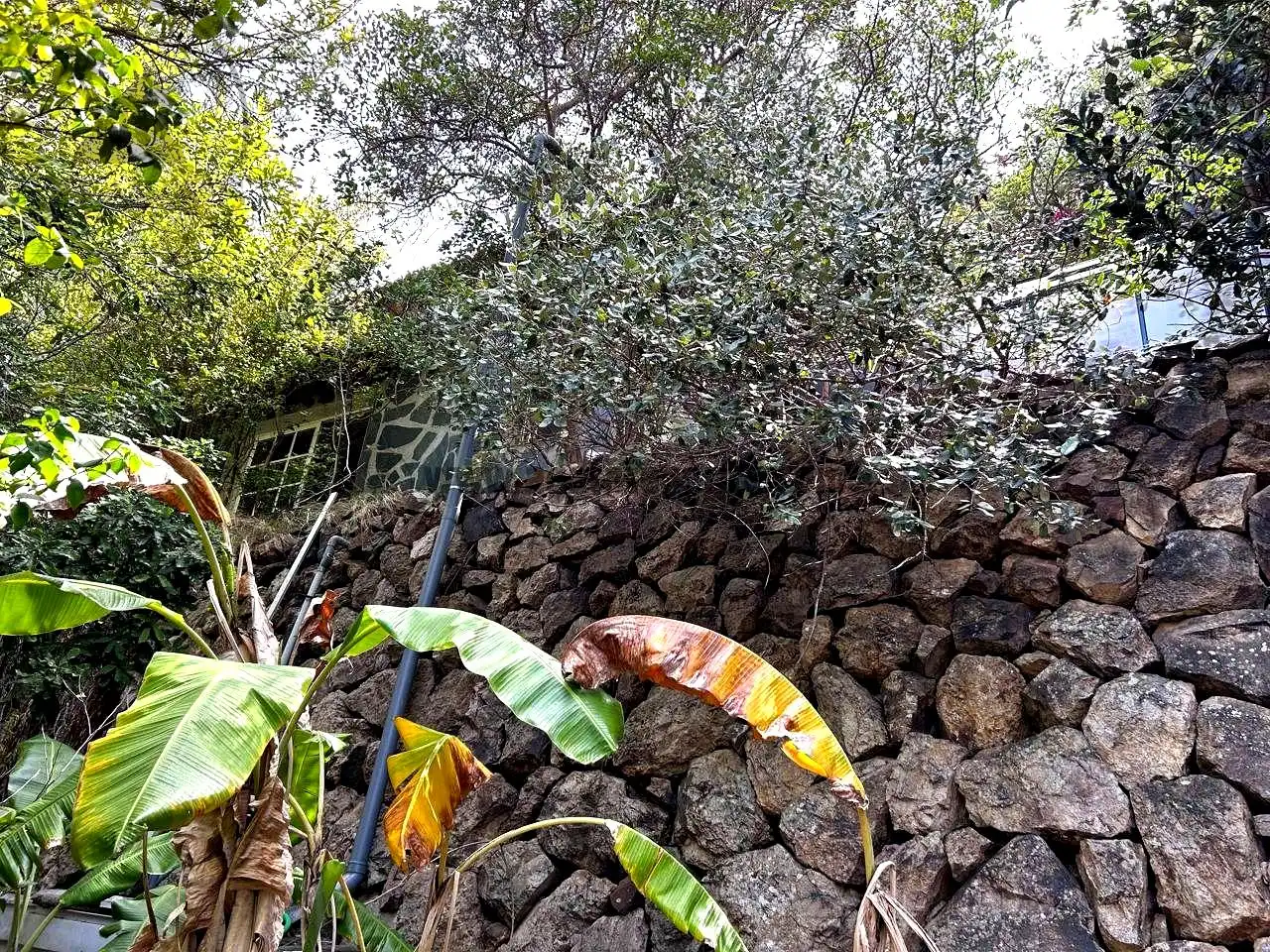 Finca rústica en venta en Vallehermoso con Aire acondicionado, Calefacción y Jardín privado