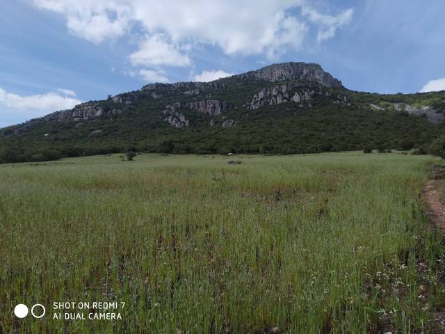 Terreno en Venta en Fuencaliente