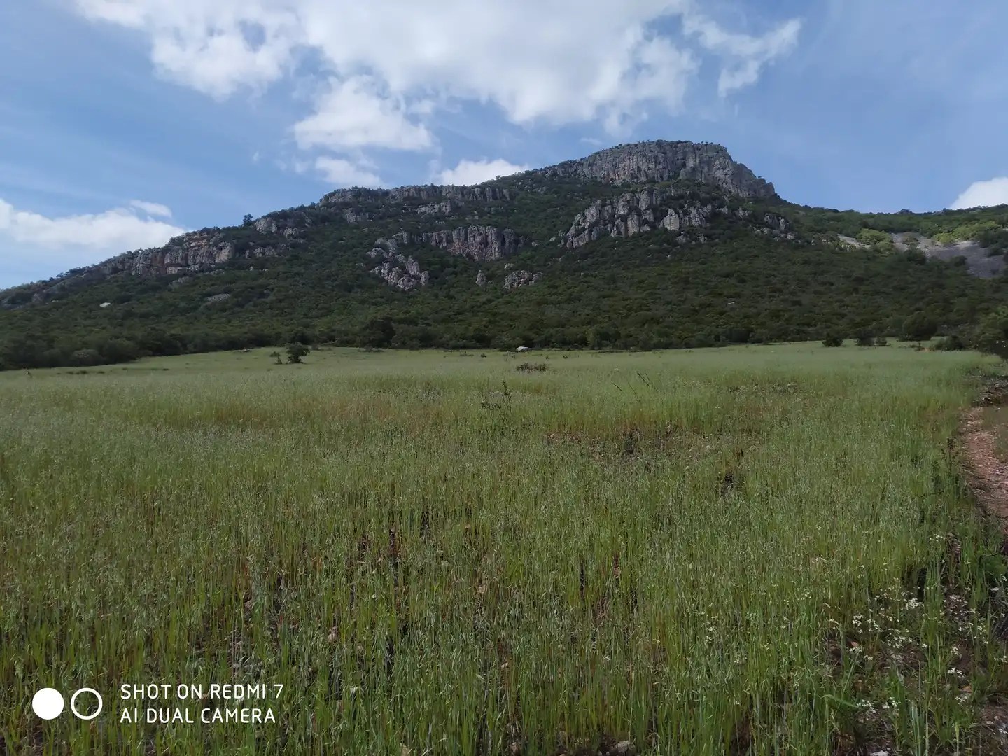 Rural land for sale in Fuencaliente