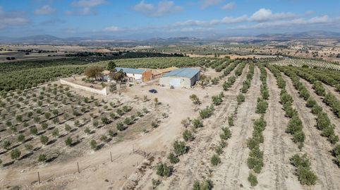 Photo 2 of Land for sale in Polígono 9 Paraje 34 Cejo, Alamedilla, Granada