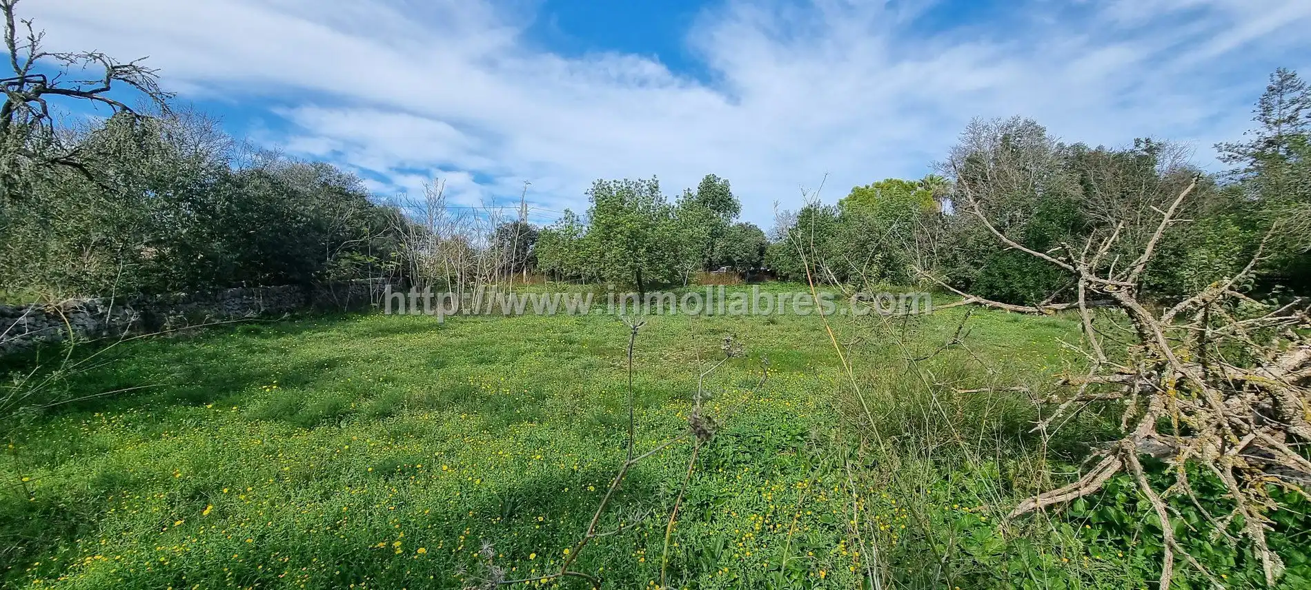 Country house for sale in Sencelles, imagen 10