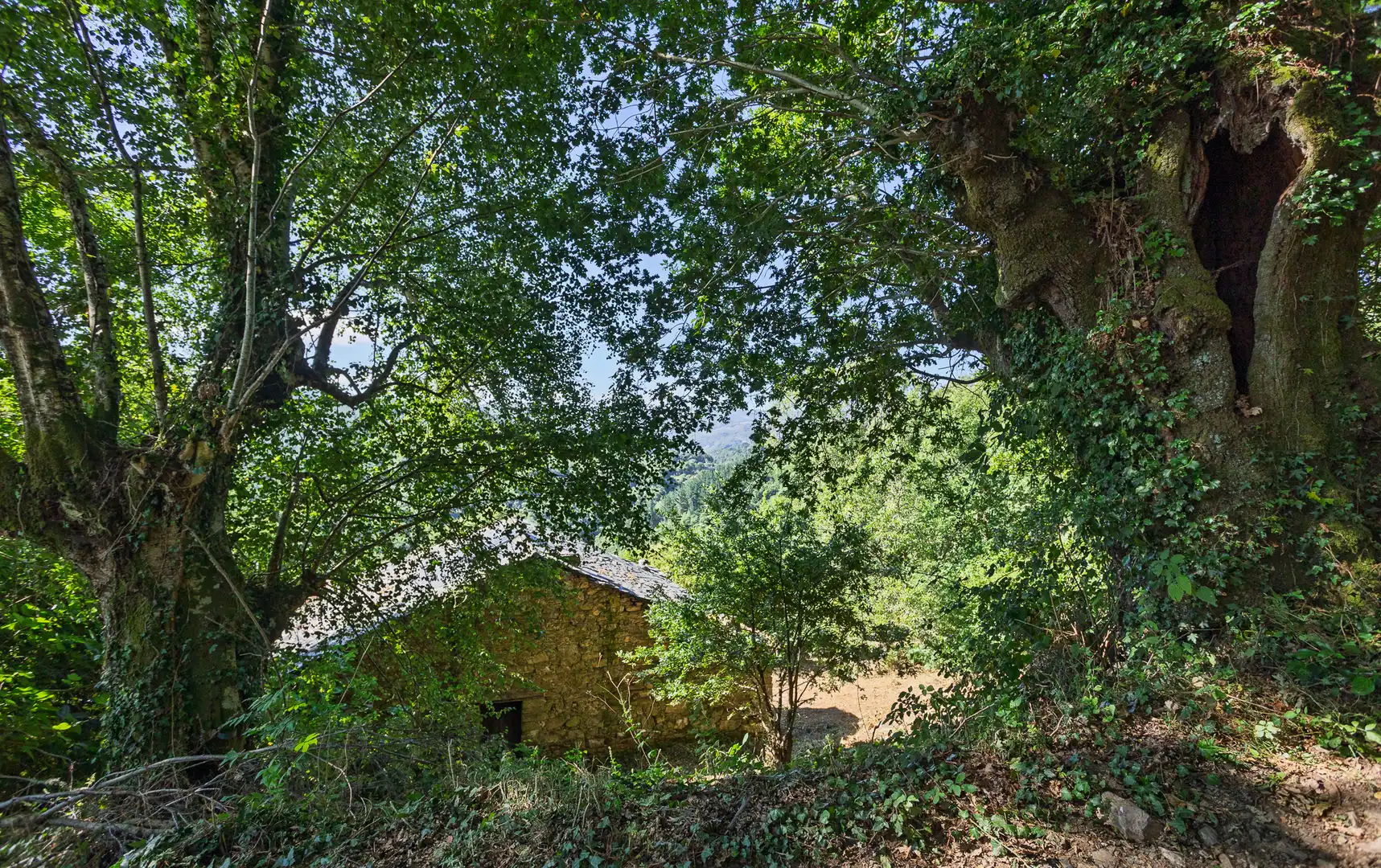 Finca rústica en venda en Becerreá