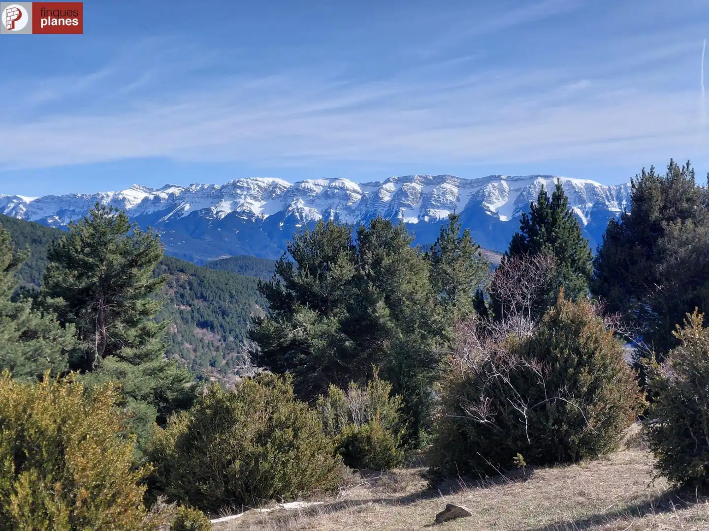 Exterior view of Houses for sale in Les Valls de Valira  with Private garden and Furnished