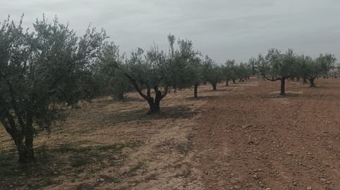 Imatge 4 de l'anunci