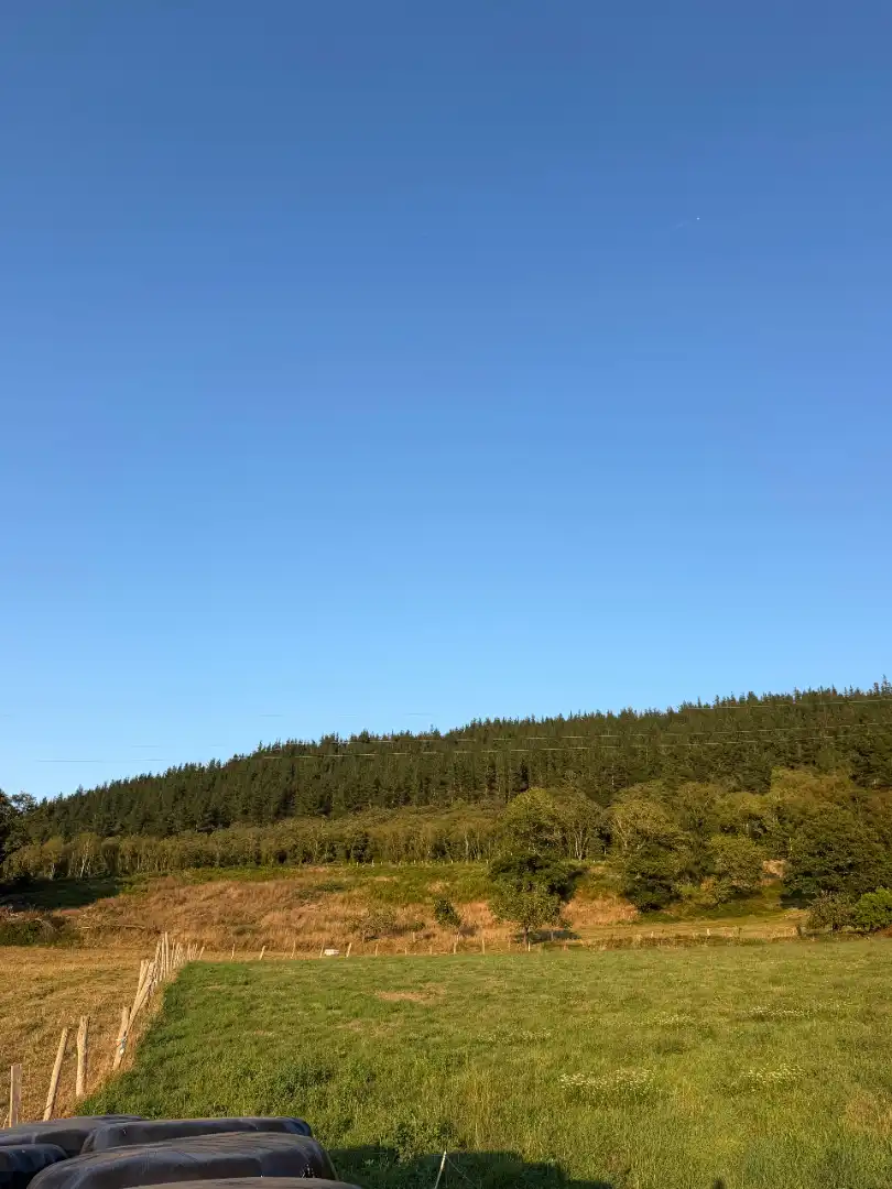 Rural land for sale in Tineo, imagen 16