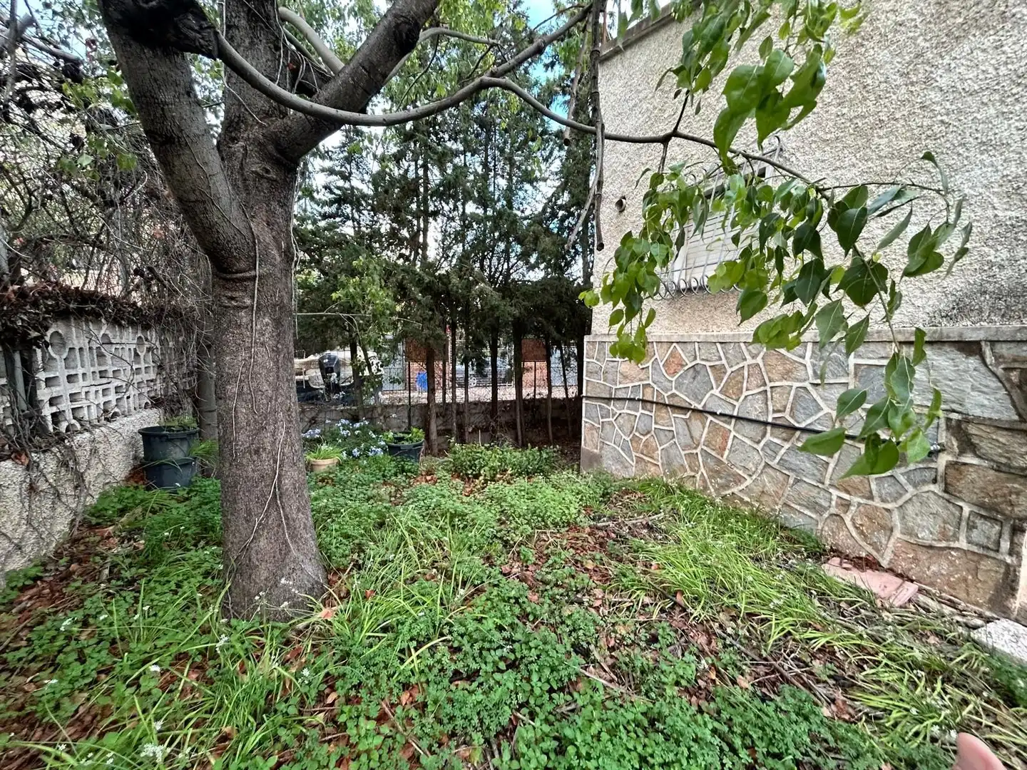 Houses for sale in Murcia  with Private garden and Swimming Pool