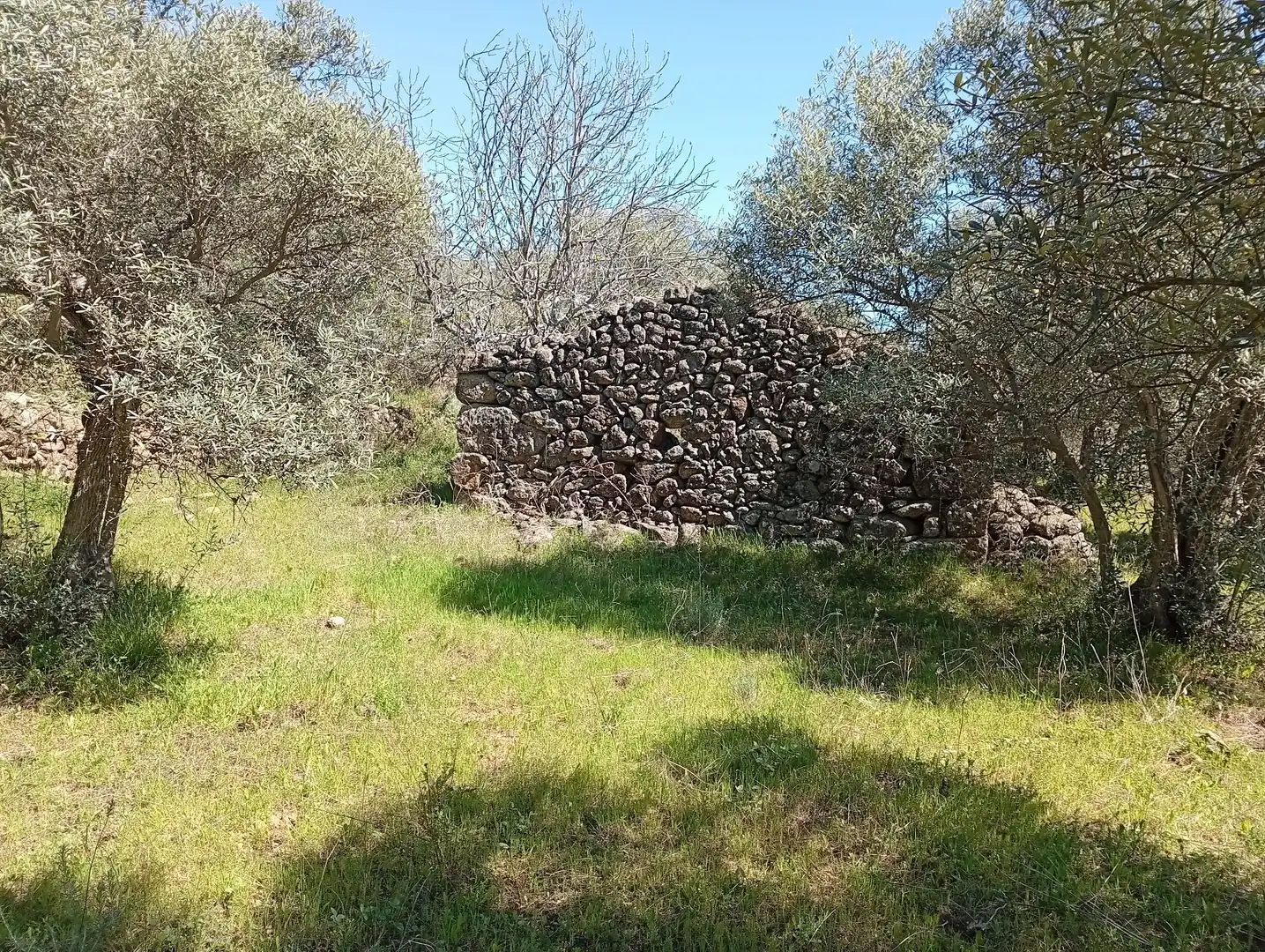 Terreni e lotti in vendita a Valverde de la Vera, imagen 38