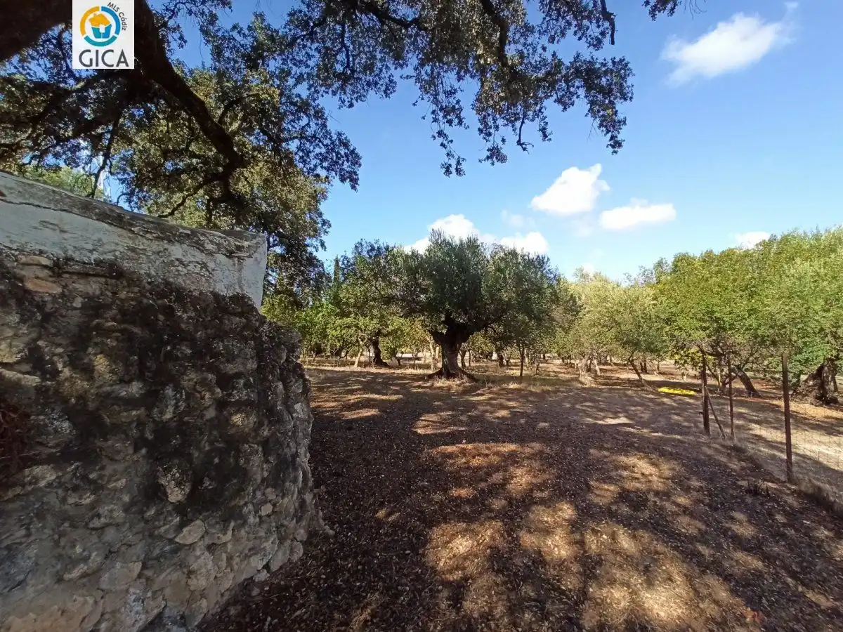 Casa rústica en venda a El Bosque, imagen 35