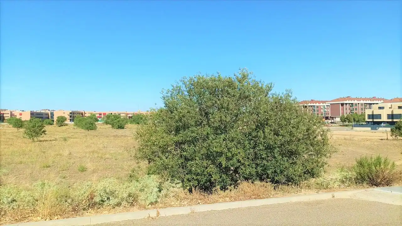 Terreny residencial en venda a Proyecto Actuacion S-15, imagen 13
