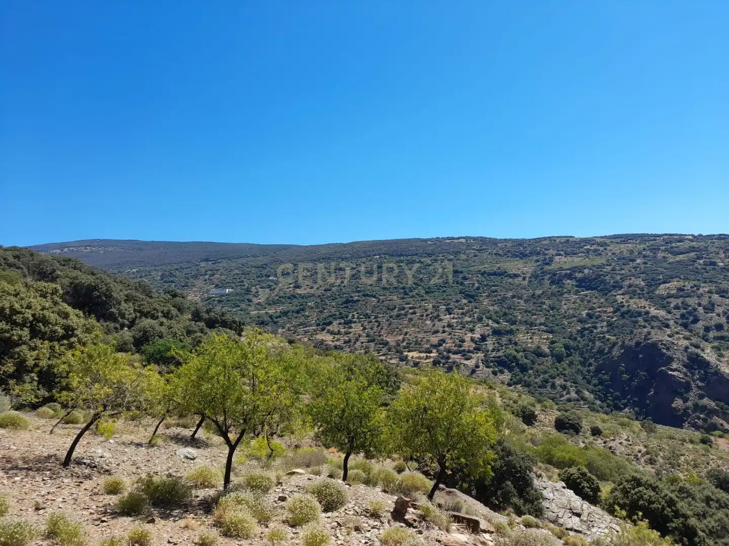 Casa o xalet en venda en Nevada