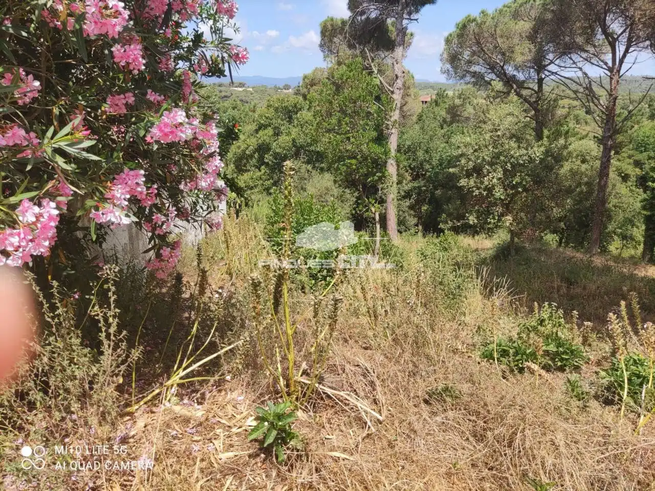 Terreno residencial en venta en Calle Nard, imagen 6