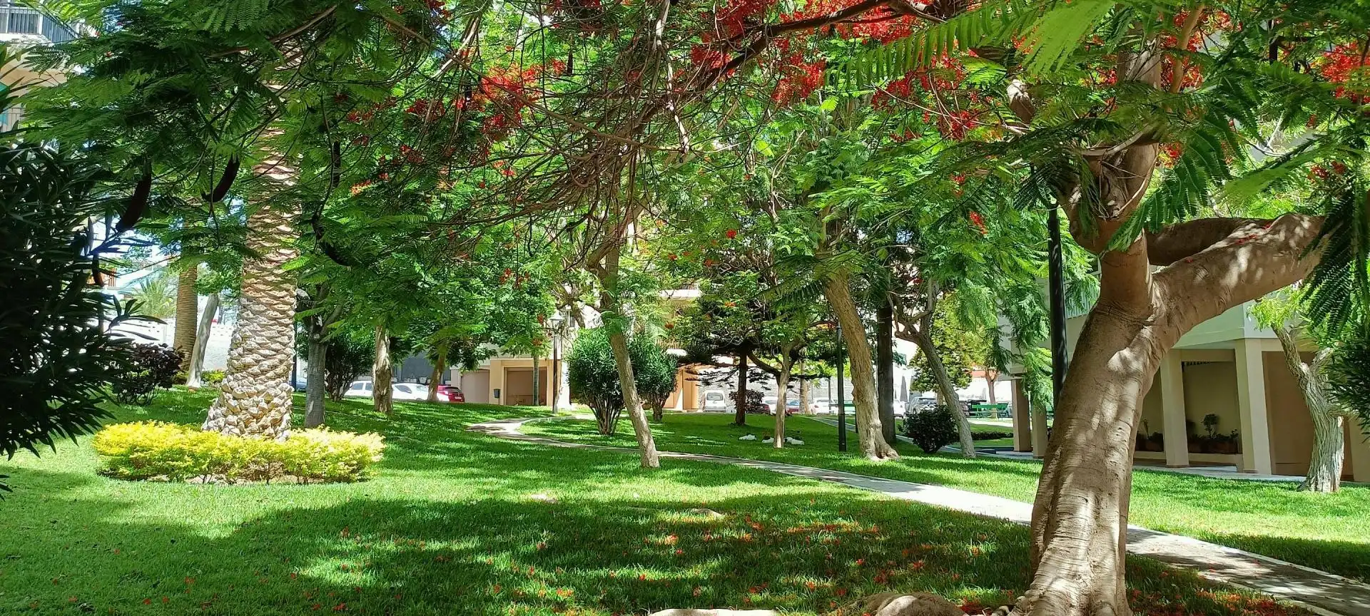 Vista exterior de Apartament en venda en Santa Cruz de Tenerife amb Balcó