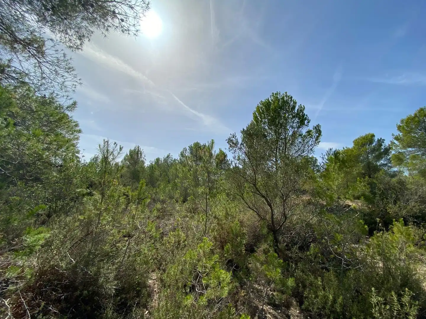 Country homes for sale in Chella