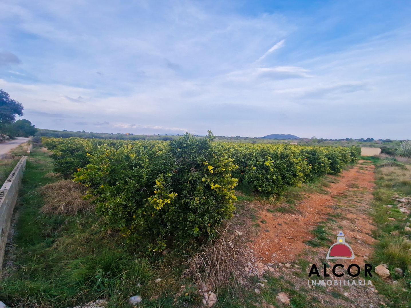 Country house zum Verkauf in Càlig