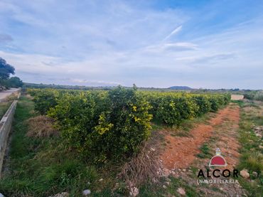 Country house for sale in 3