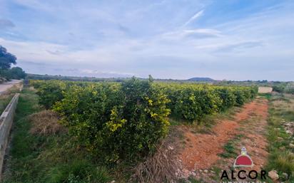 Finca rústica en venda en Càlig