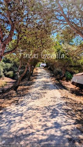 Terreno en Venta en campo en Ferreries poble