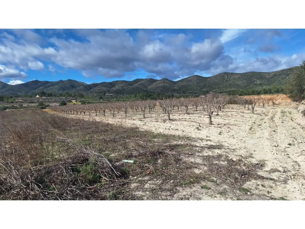 Terreny residencial en venda a Pasaje La Cascarra, imagen 4