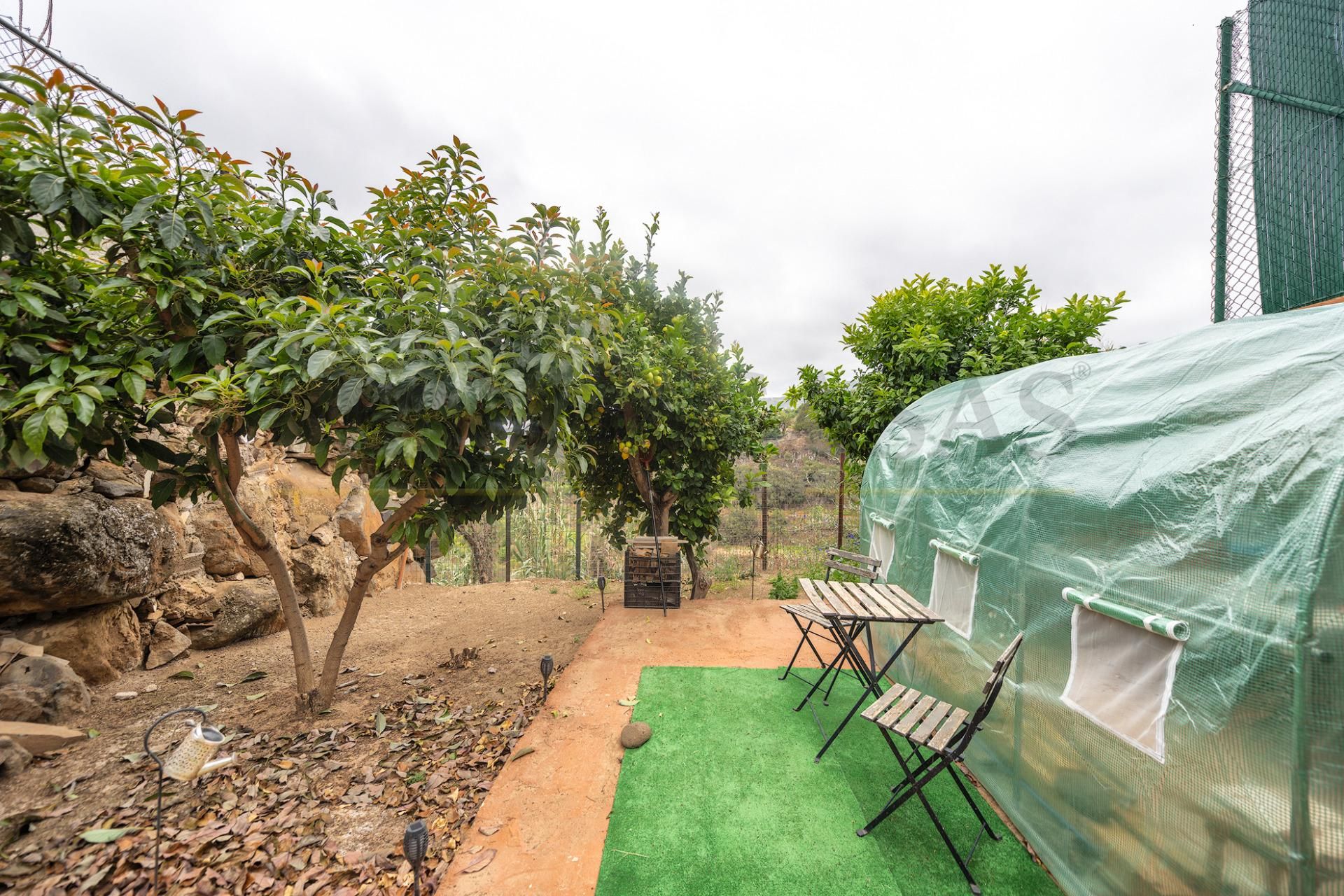 Terrace of Single-family semi-detached for sale in Vega de San Mateo  with Private garden, Terrace and Storage room