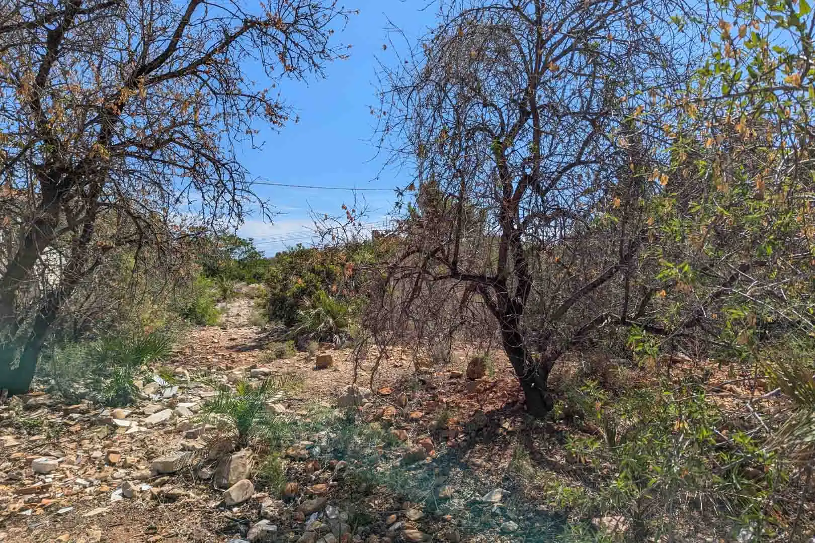 Terreno residencial en venta en El Montgó, imagen 4