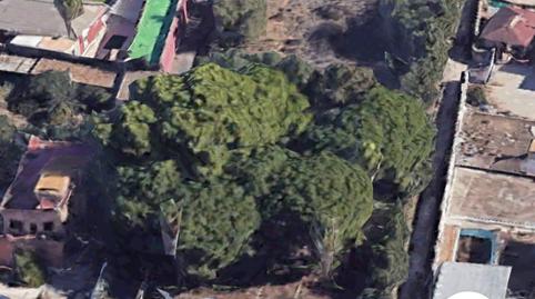 Photo 3 of Industrial land for sale in  Av. del Mueble, 34, Los Franceses – La Vega, Chiclana de la Frontera