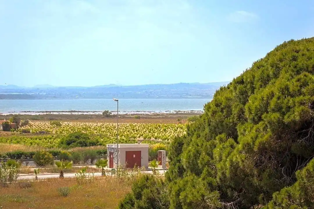Casa o xalet de lloguer en Torrevieja amb Aire condicionat, Calefacció i Terrassa