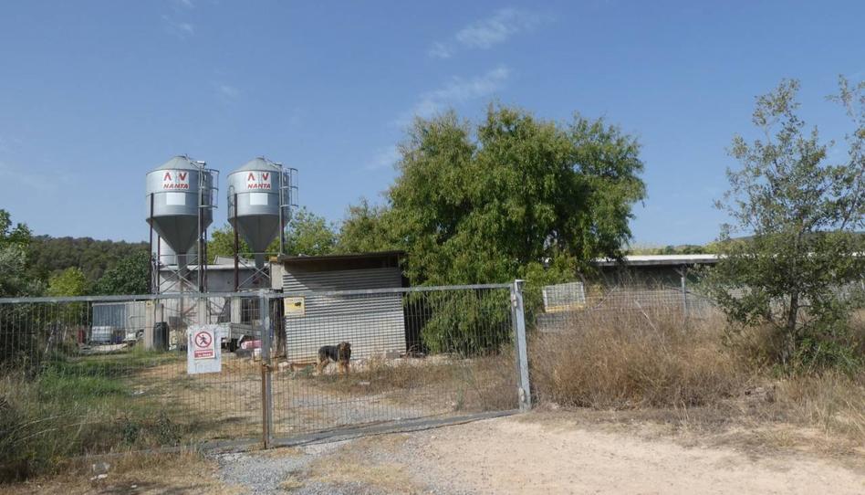 Photo 1 of Industrial buildings to rent in Cabrera, Segorbe, Castellón
