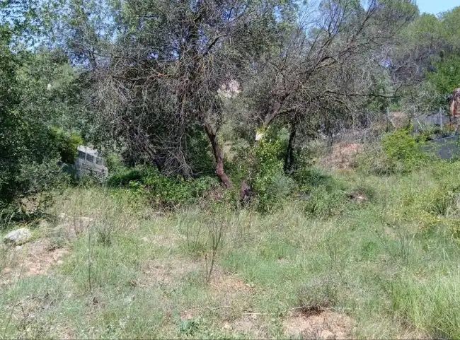 Terreno residencial en venta en Carrer Estació de Vacarisses, imagen 7