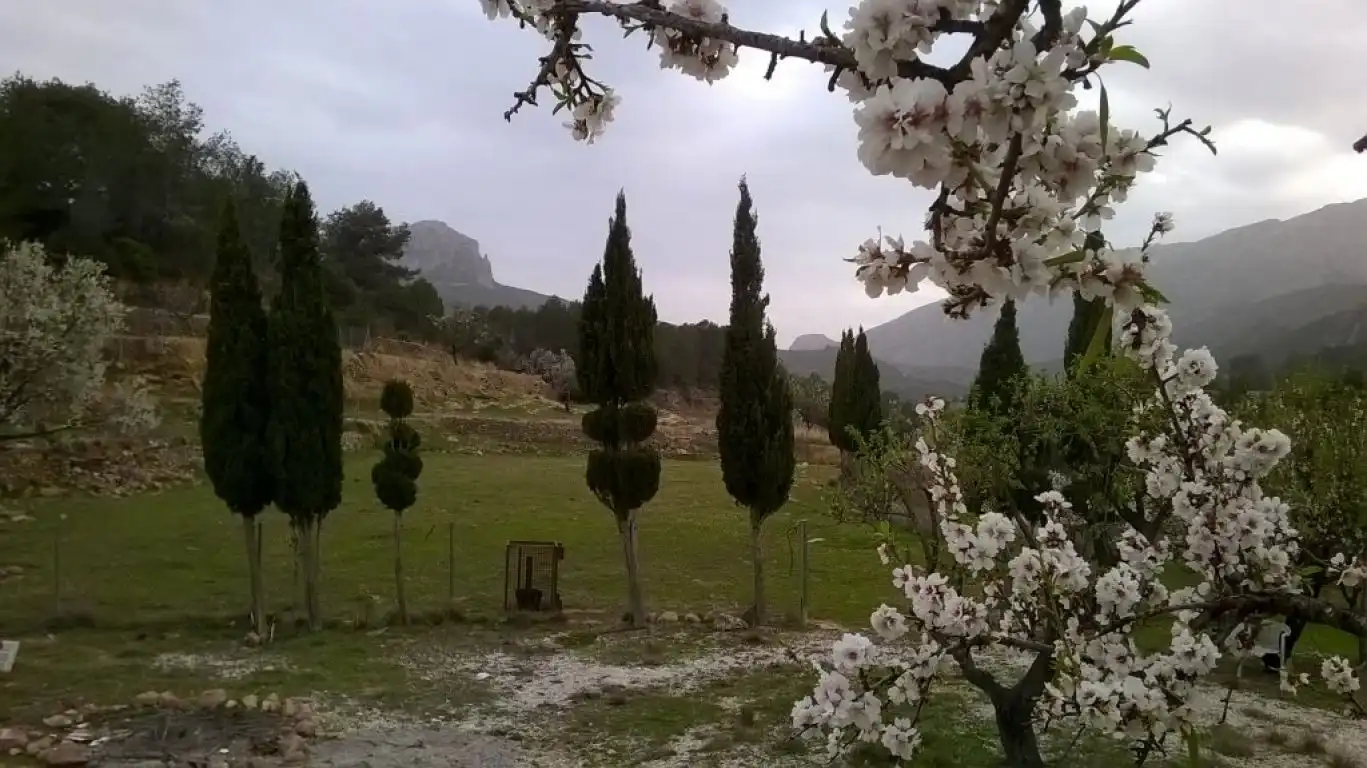 Terreny rústic en venda a Benissa pueblo, imagen 4