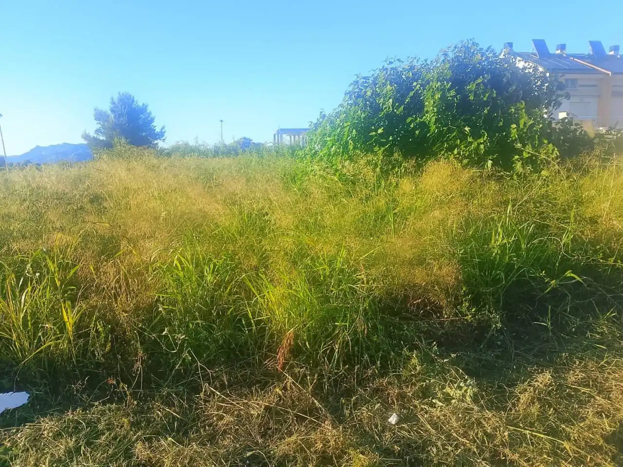 Residential land for sale in Calle Vernissa, imagen 9