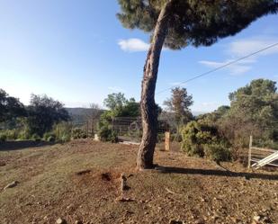 Casa o xalet en venda en  Córdoba Capital