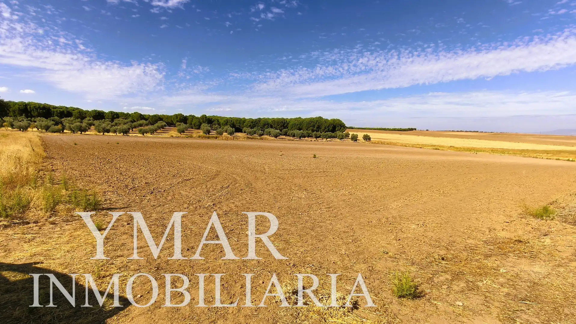 Rural land for sale in Santa Olalla, imagen 6