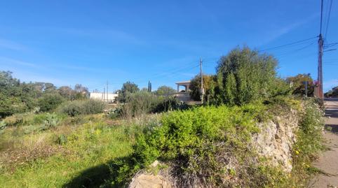 Foto 5 de Residencial en venda a Sa Cabaneta, Illes Balears