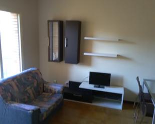 Living room of Flat to rent in  Pamplona / Iruña  with Terrace