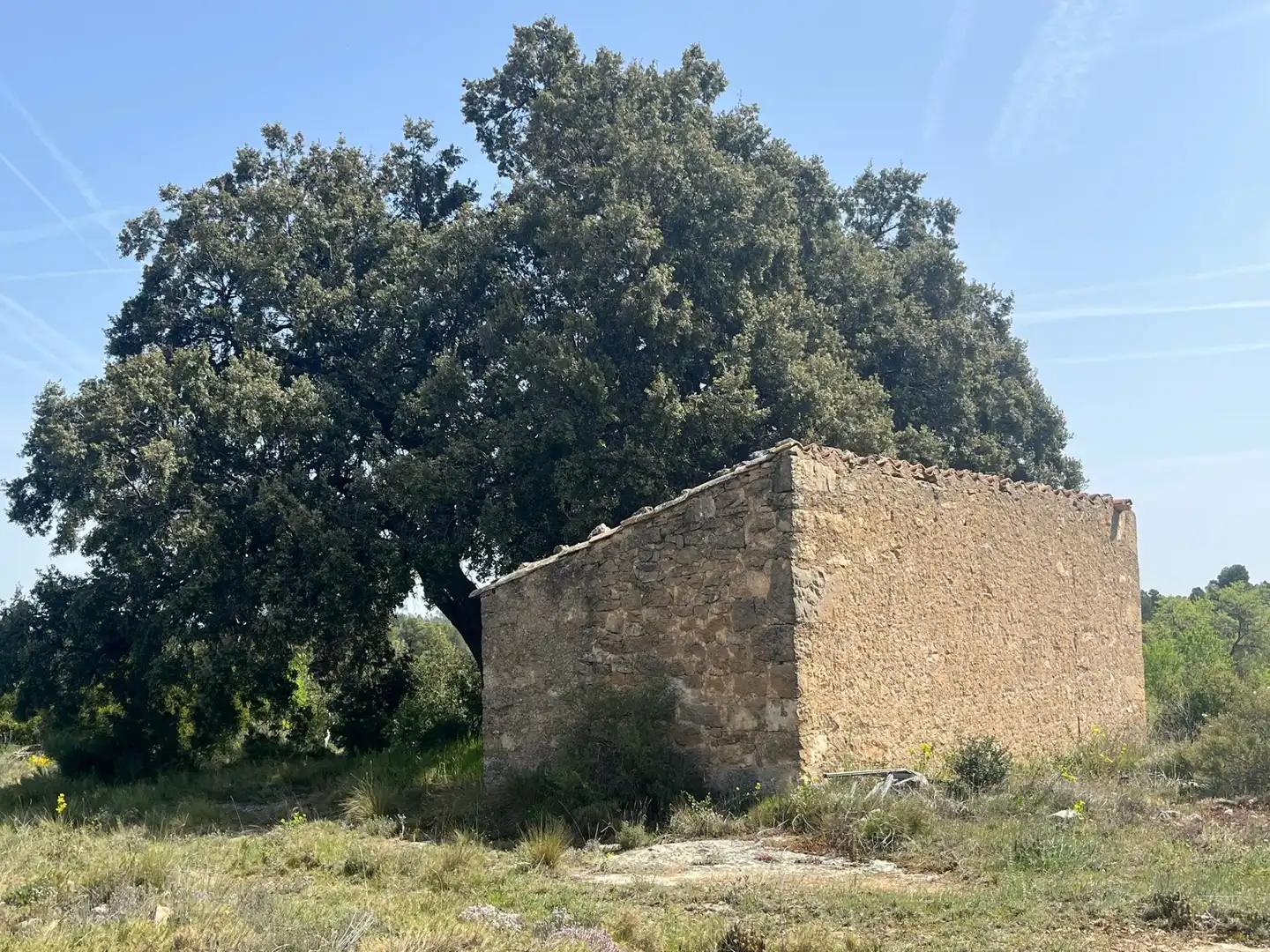 Terreni e lotti in vendita a Calaceite