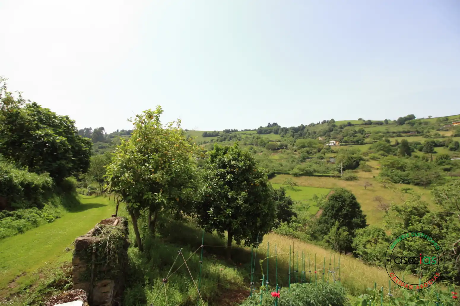 Terreny residencial en venda a Gijón - Camino del Regueru-Caldones, imagen 55