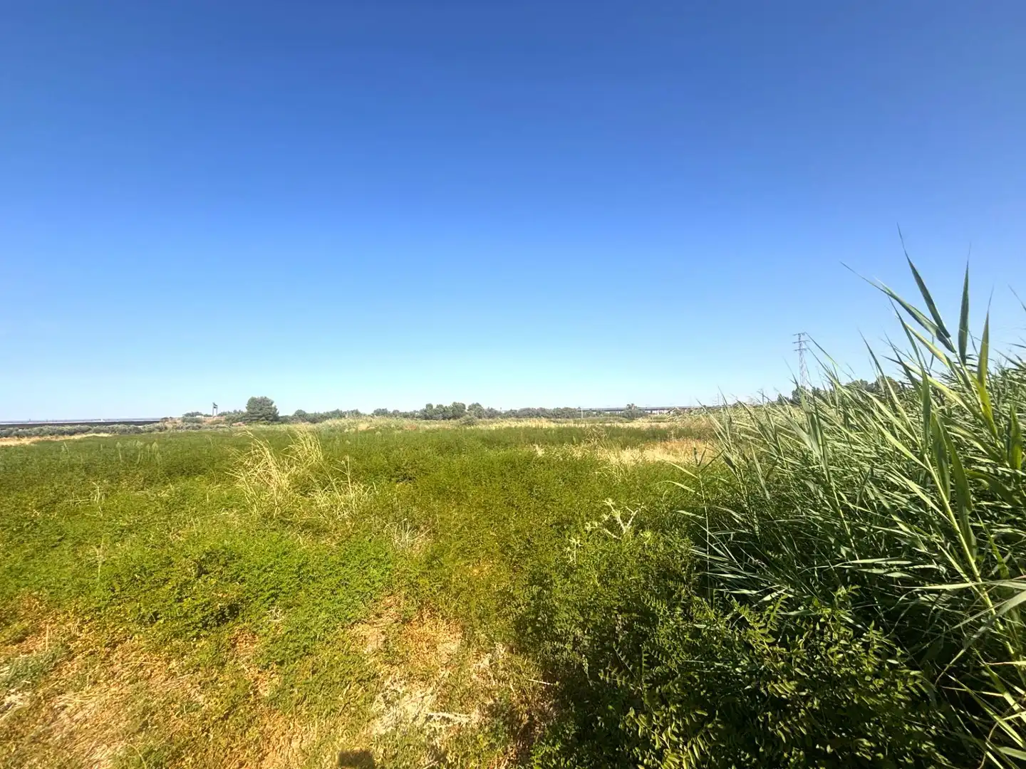 Terreno en venta en Santiponce