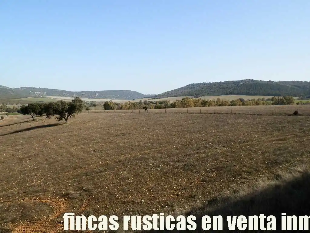 Terreny rústic en venda a Puebla de Don Rodrigo, imagen 6
