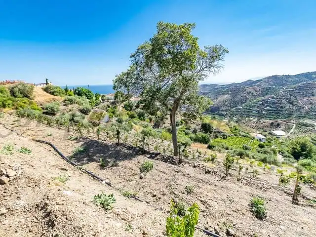 Terreni e lotti in vendita a Torrox Pueblo, imagen 2