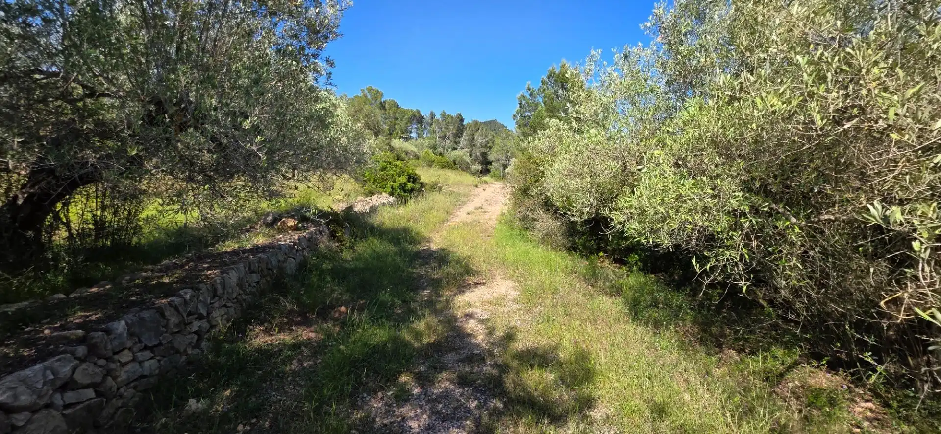 Maison rustique à vendre à Tivissa, imagen 24