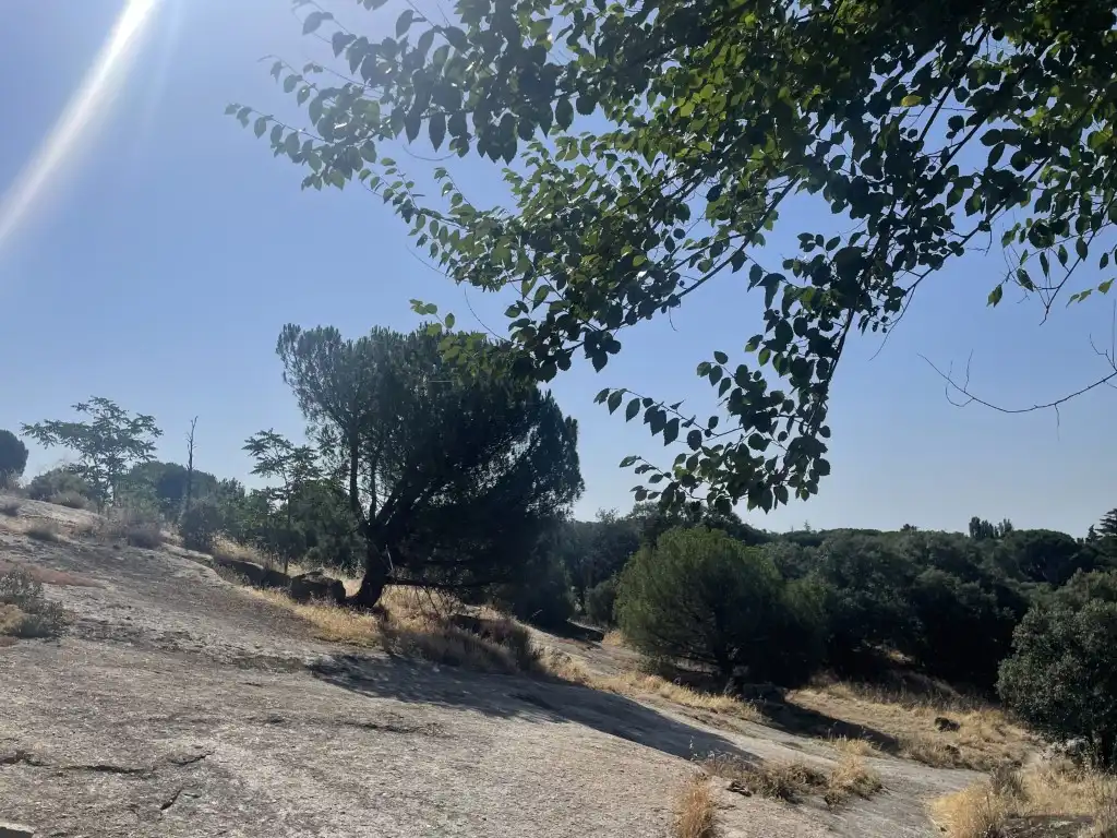 Detached homes for rent in Calle Brazos De Los, La Navata