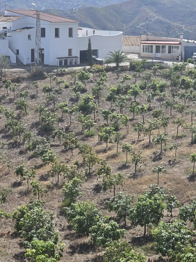 Terrain rustique à vendre à Plaza Del Trabajo 2, imagen 17