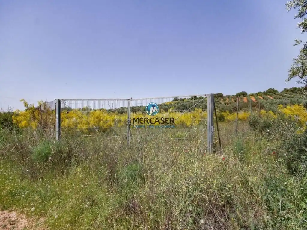 Terreny residencial en venda a Cabanillas del Campo, imagen 5
