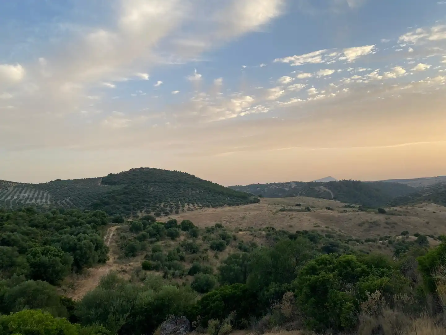 Rural land for sale in Morón de la Frontera, imagen 10