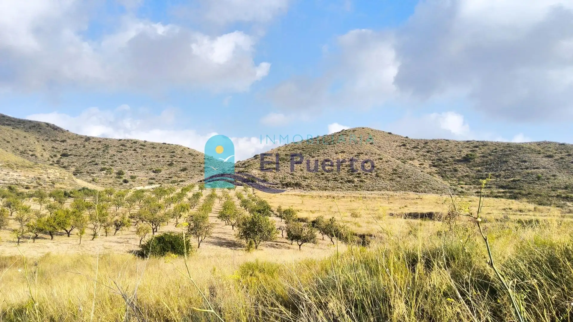 Terreny rústic en venda a Pedanías Sur, imagen 20