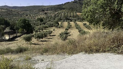 FINCA DE SECANO EN PADUL CON 5680 M2, immagine 4