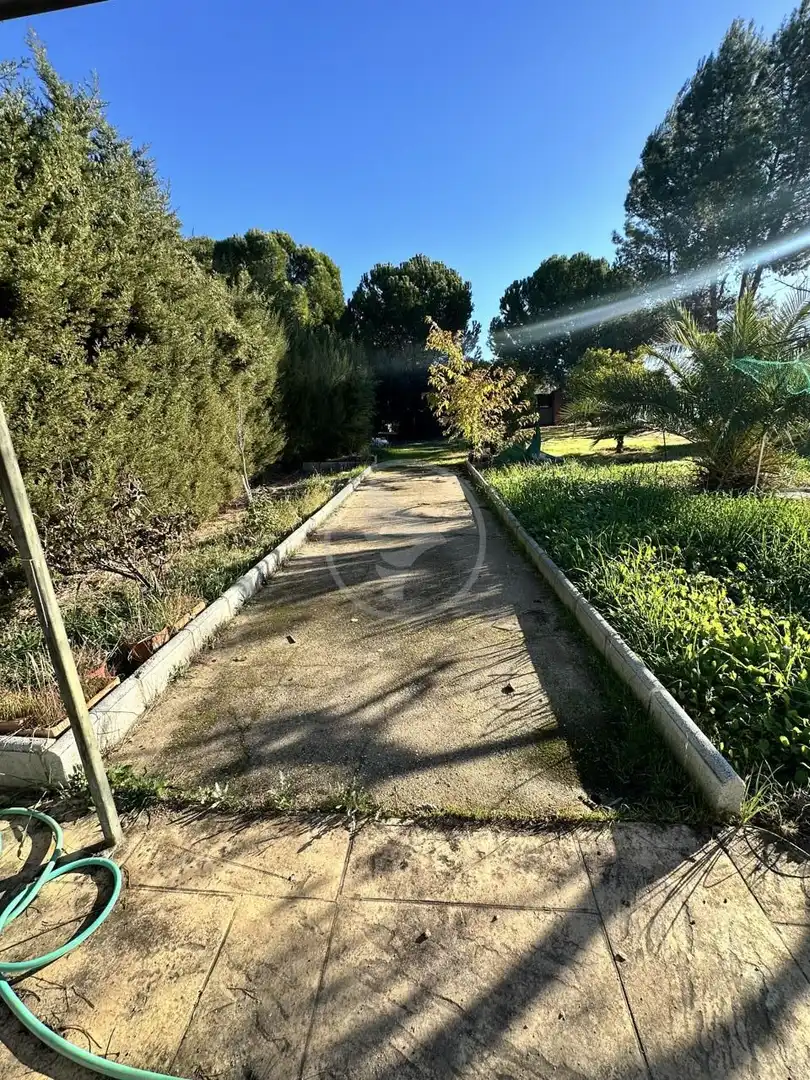 Terreni e lotti in vendita a Úbeda, imagen 11