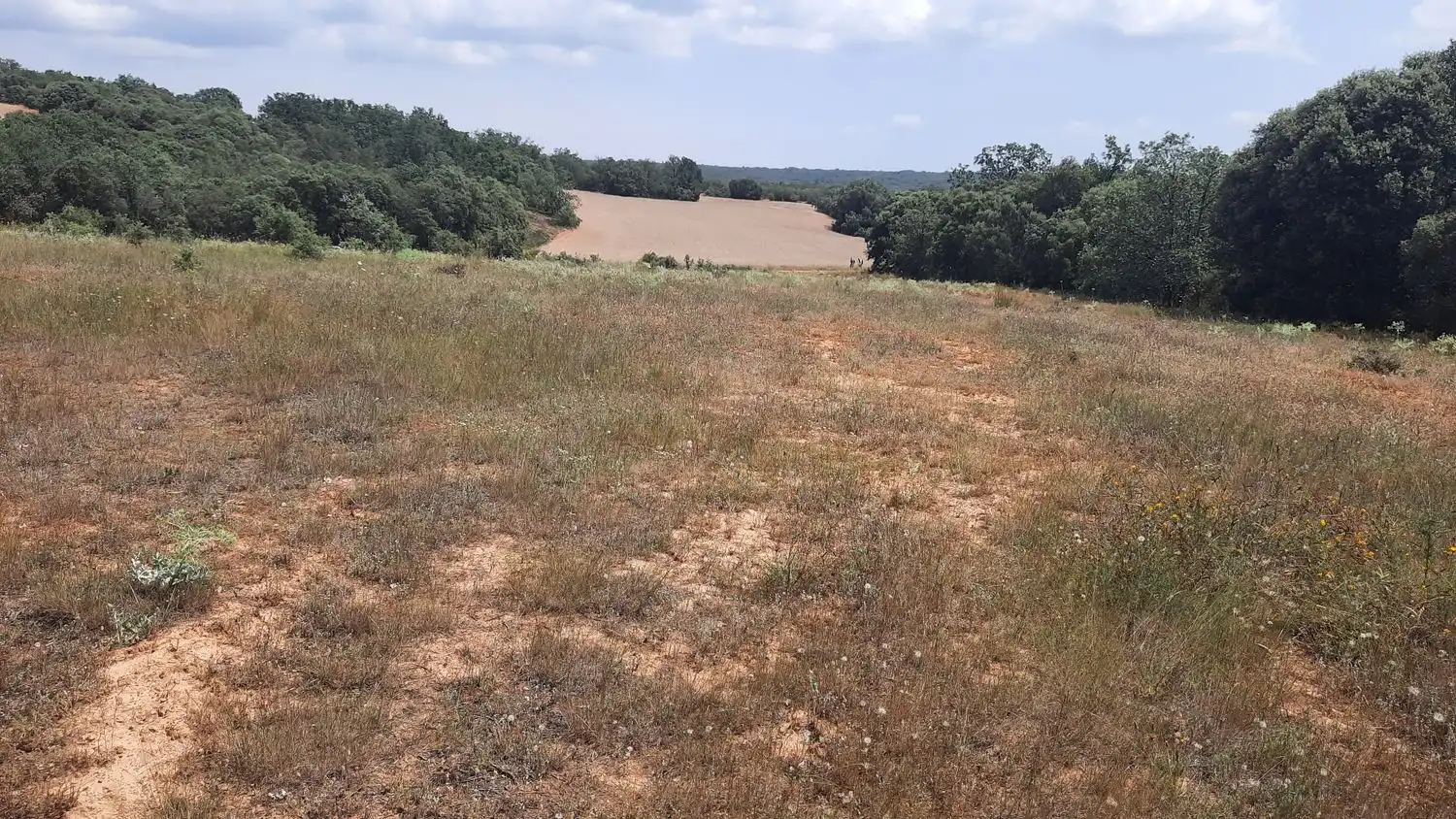 Residencial en venta en Villares de Órbigo