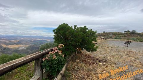 Foto 3 de Finca rústica en venda a Álora, Málaga